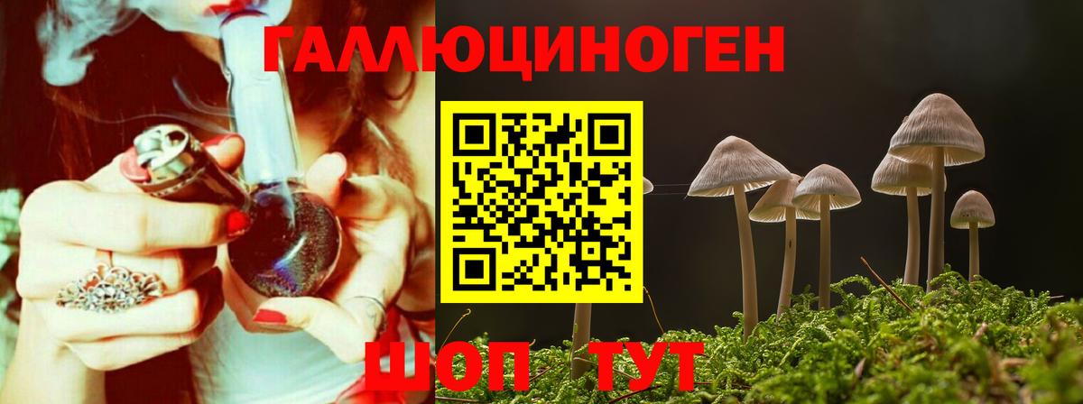 Галлюциногенные грибы GOLDEN TEACHER Карпинск